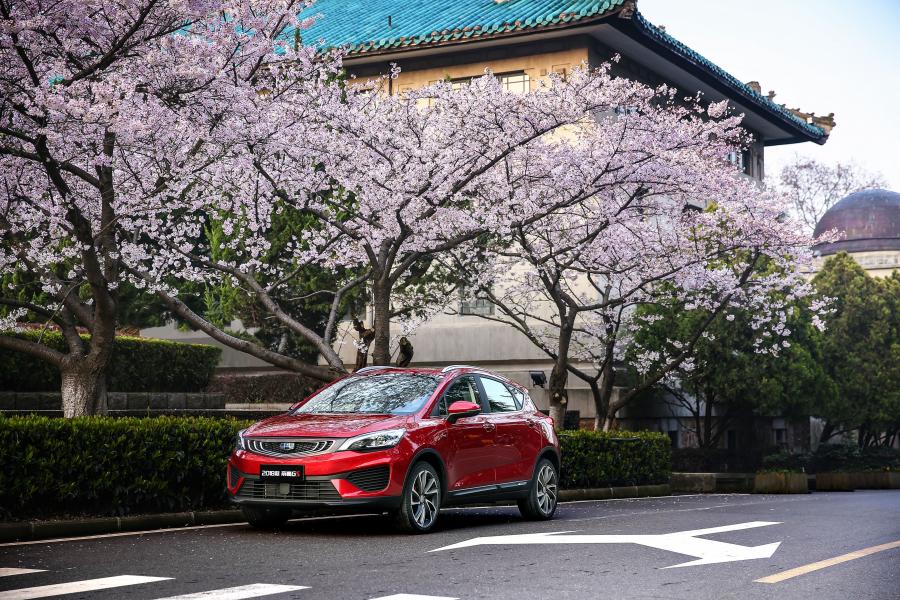  Geely Emgrand GS 2018 года  (фото 30 из 35)